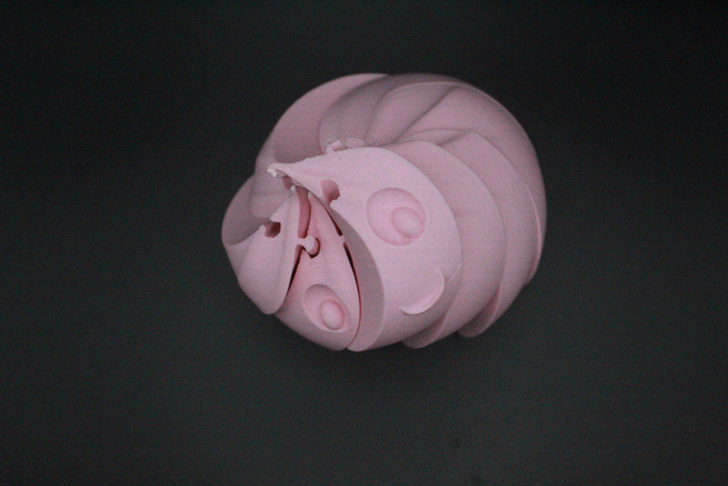 Viral dumpling Fidget