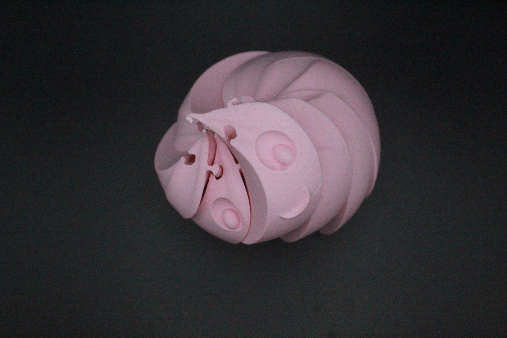 Viral dumpling Fidget