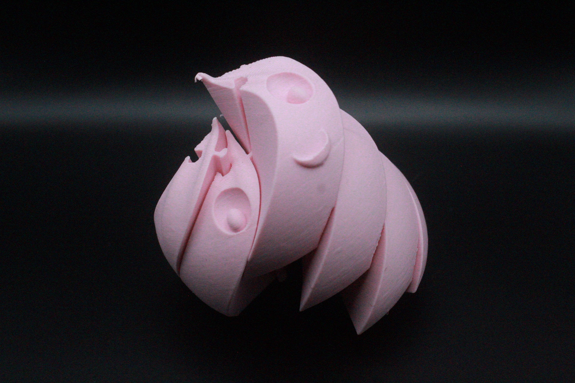 Viral dumpling Fidget